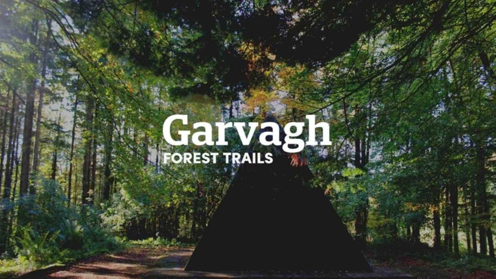 Forest View - Private Hot Tub Ballynameen
